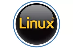Logo 2