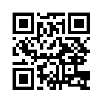 Network